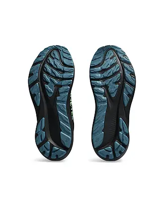 ASICS | Zapatillas de running para hombre GT-2000 12 GTX | schwarz